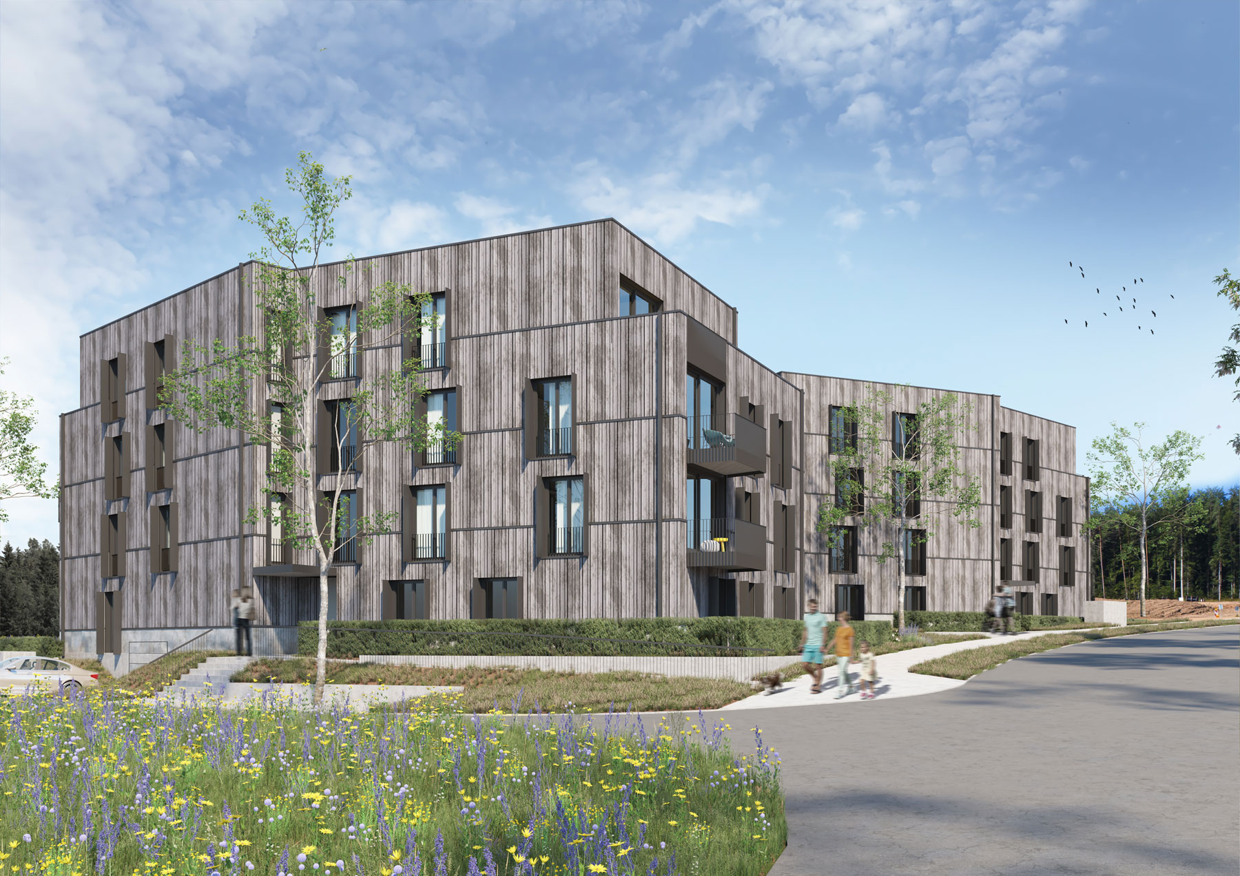 3dkad-3D-Visualisierung-Holzbau-Wohnungsbau-Calw-Mehrfamilienhaus